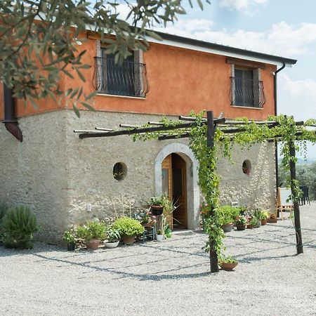 B&B Rifugio Tra Gli Ulivi Campagna Exteriör bild