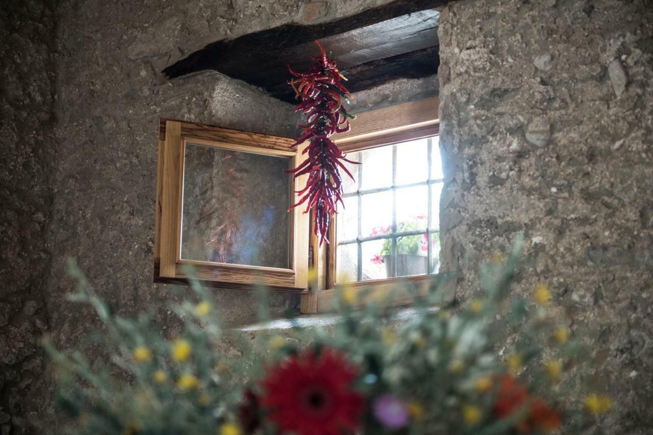 B&B Rifugio Tra Gli Ulivi Campagna Exteriör bild