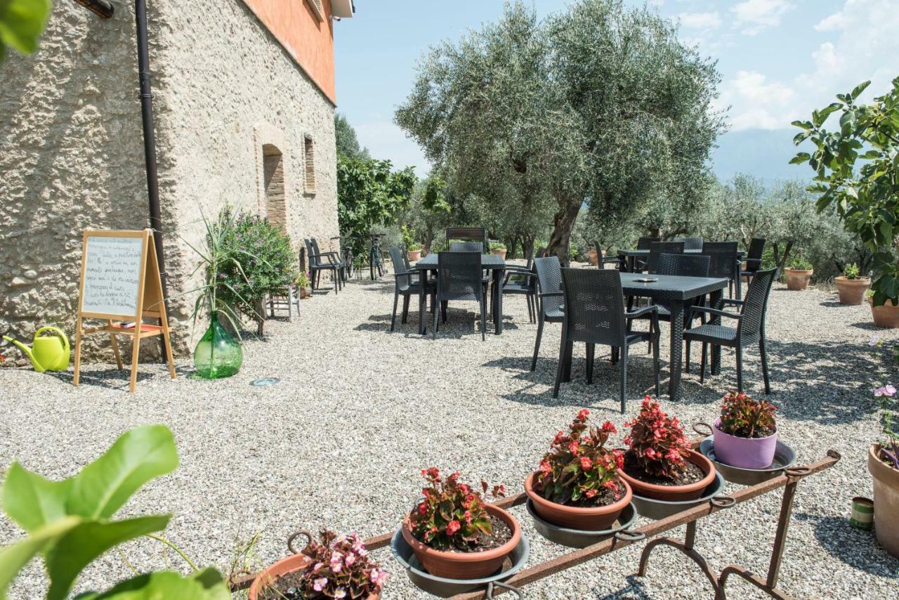 B&B Rifugio Tra Gli Ulivi Campagna Exteriör bild