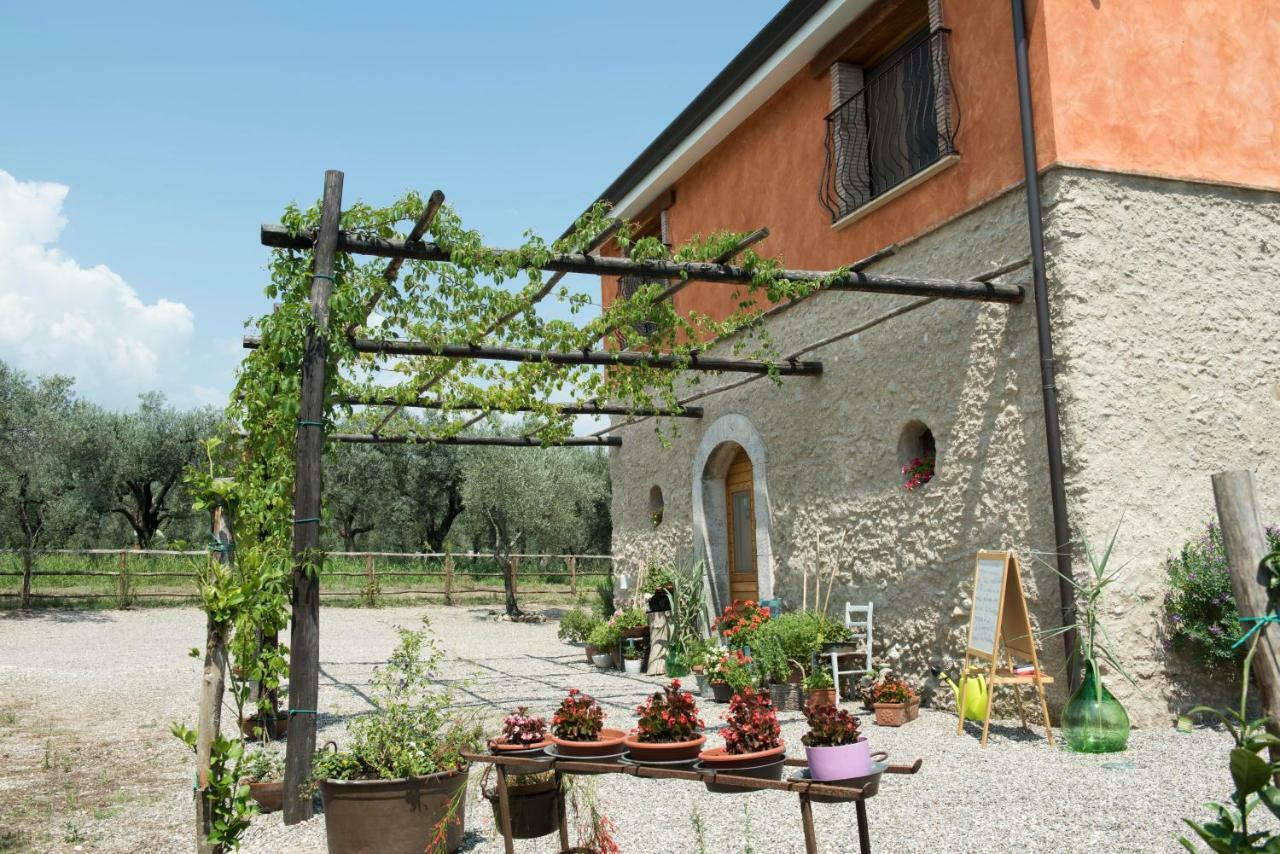 B&B Rifugio Tra Gli Ulivi Campagna Exteriör bild