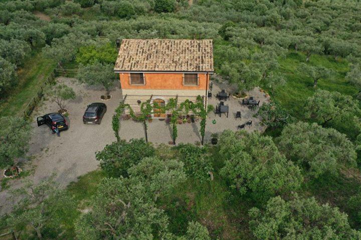 B&B Rifugio Tra Gli Ulivi Campagna Exteriör bild